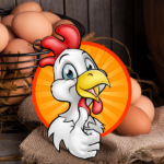 Adopte1poule, un site internet pour sauver les poules